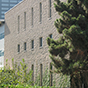 uclaswstg10