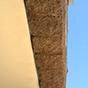 callutheran09