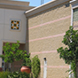 crossingscorona16