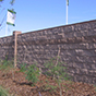 caminosolano05