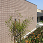 HB_Adult_School-03