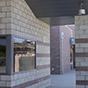 Pinacate_MS_Perris-20