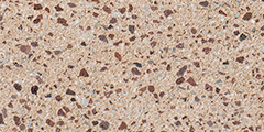 ChampagneBurnished