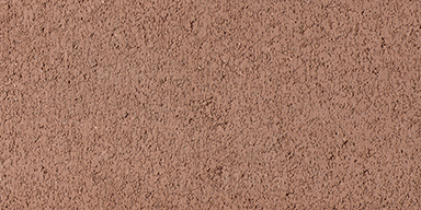 11+ Sienna Skin Color
