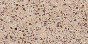 Burnished CMU - Angelus Block